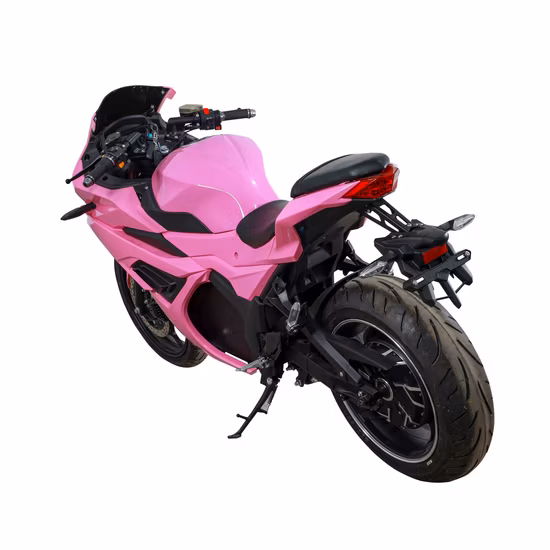 Electric Motorcycle Popular Taxi Street Motorcycle Bodaboda Cross Bike 3000W 72V40ah (HD3000W-9P)