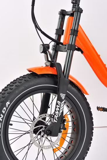 Triciclo eléctrico adulto modificado para requisitos particulares rueda de E Trike 3 del poder más elevado del motor del cargo MID