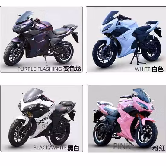 2023 Racing Bike Motocicleta todoterreno eléctrica con EEC Coc L3e de alta velocidad 160kmh